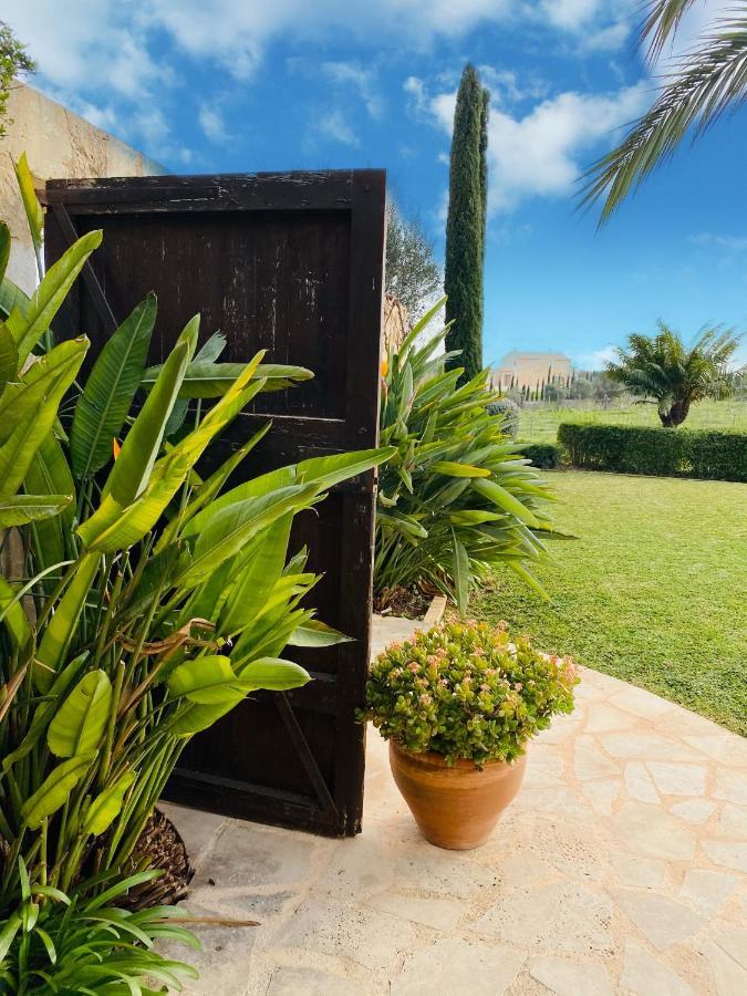 Moderne Finca Can Vicento - Heizung - Pizzaofen Porto Cristo Ngoại thất bức ảnh